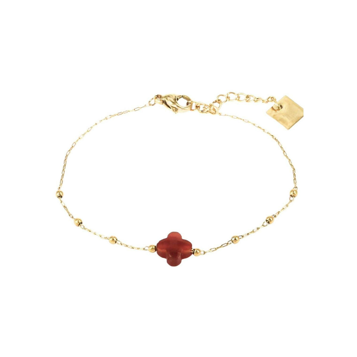 Photo [yvidya_reference:SBS7970-01RED]