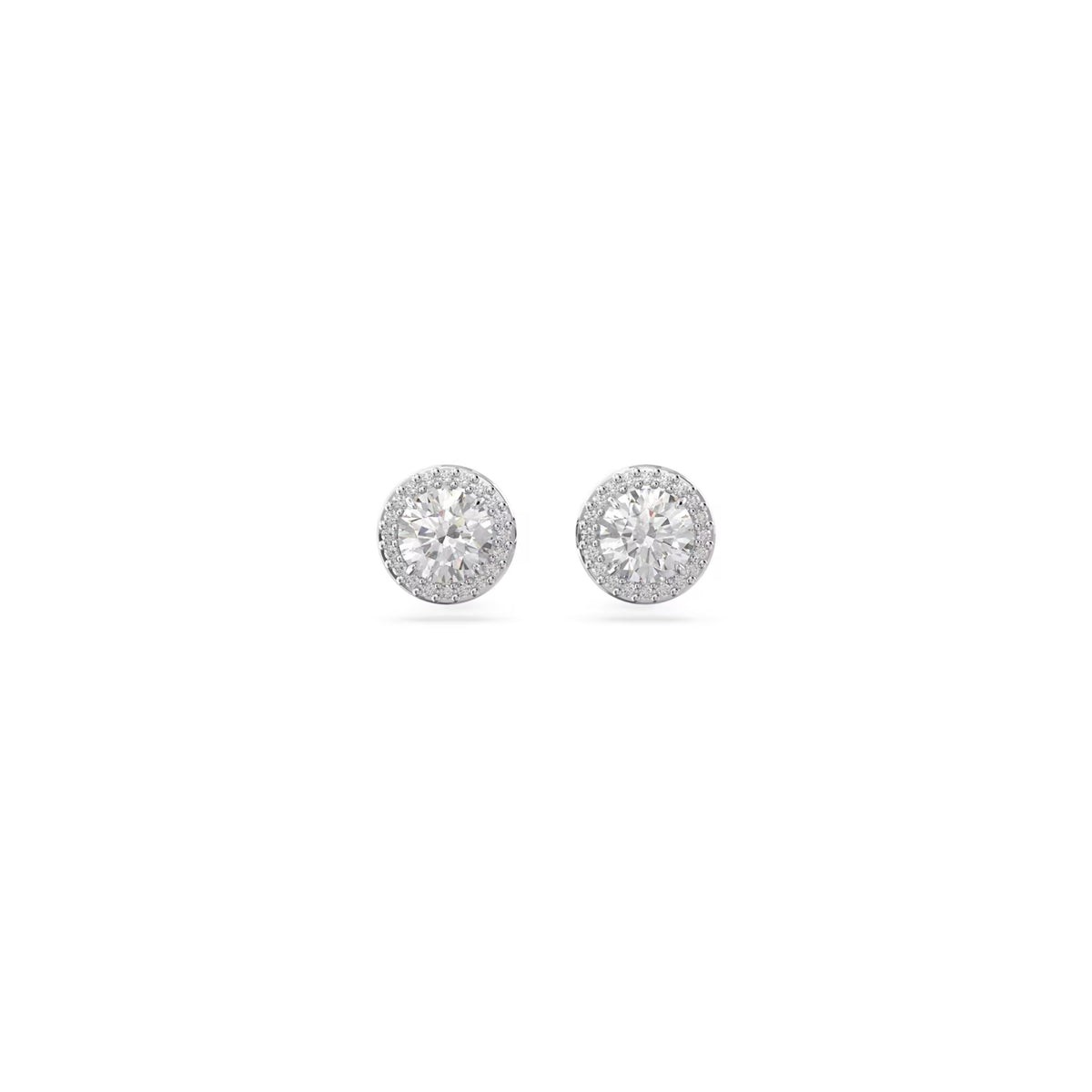 Photo [yvidya_reference:5636269]