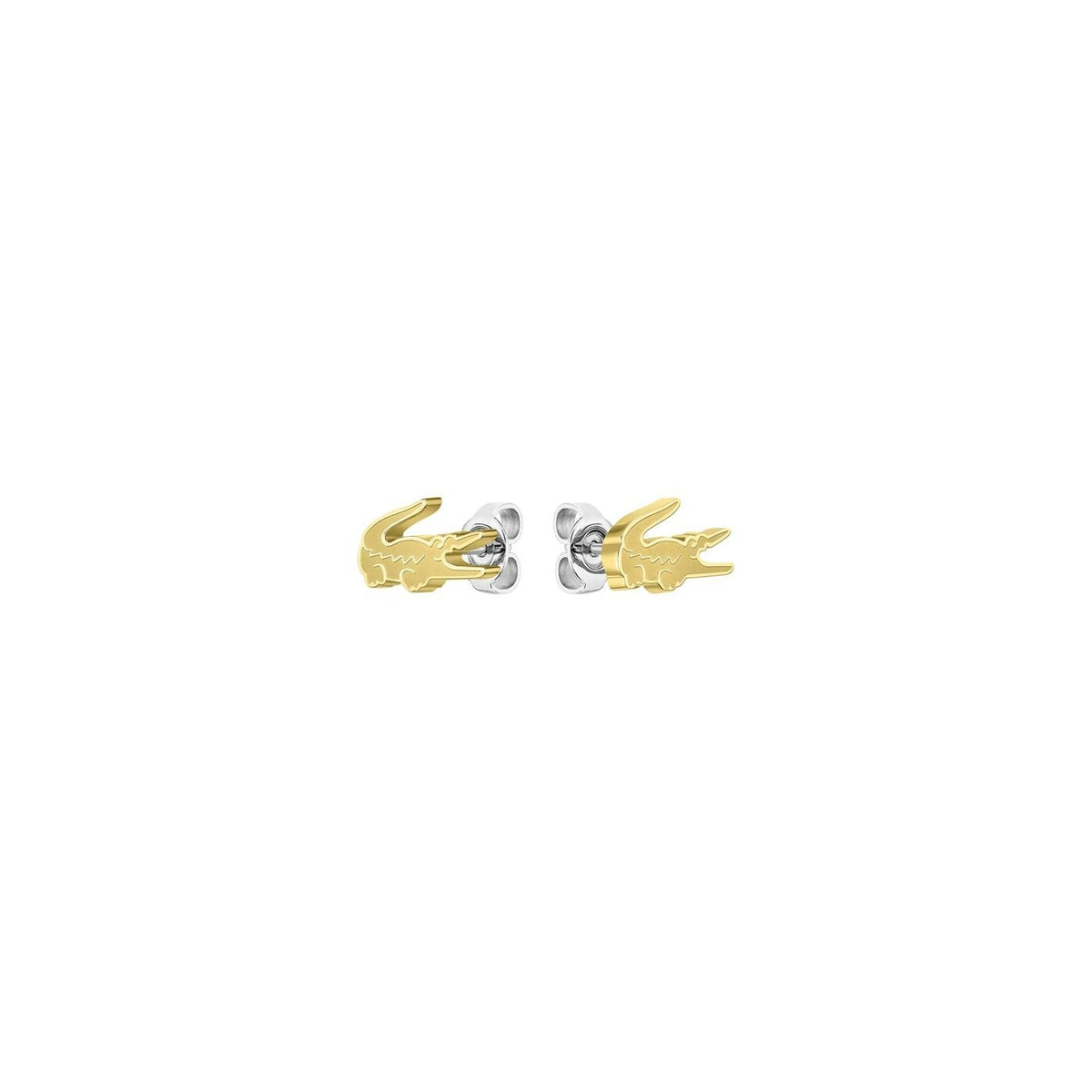 Photo [yvidya_reference:2040051]