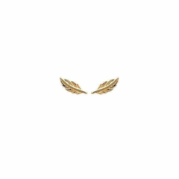 Photo [yvidya_reference:2530300]