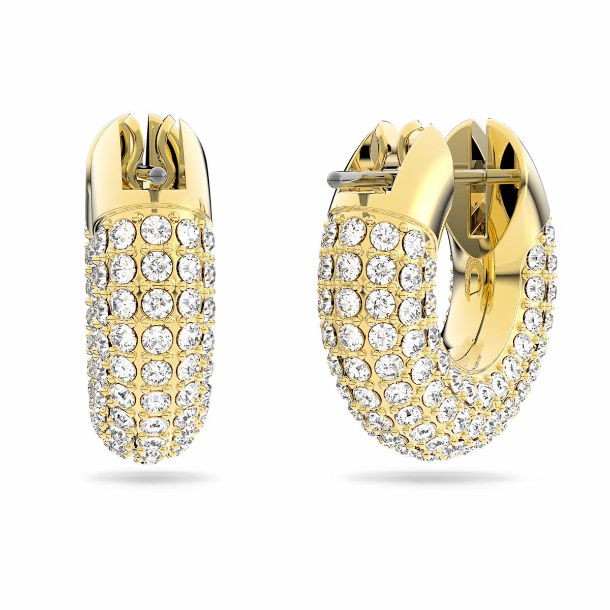 Photo [yvidya_reference:5636530]