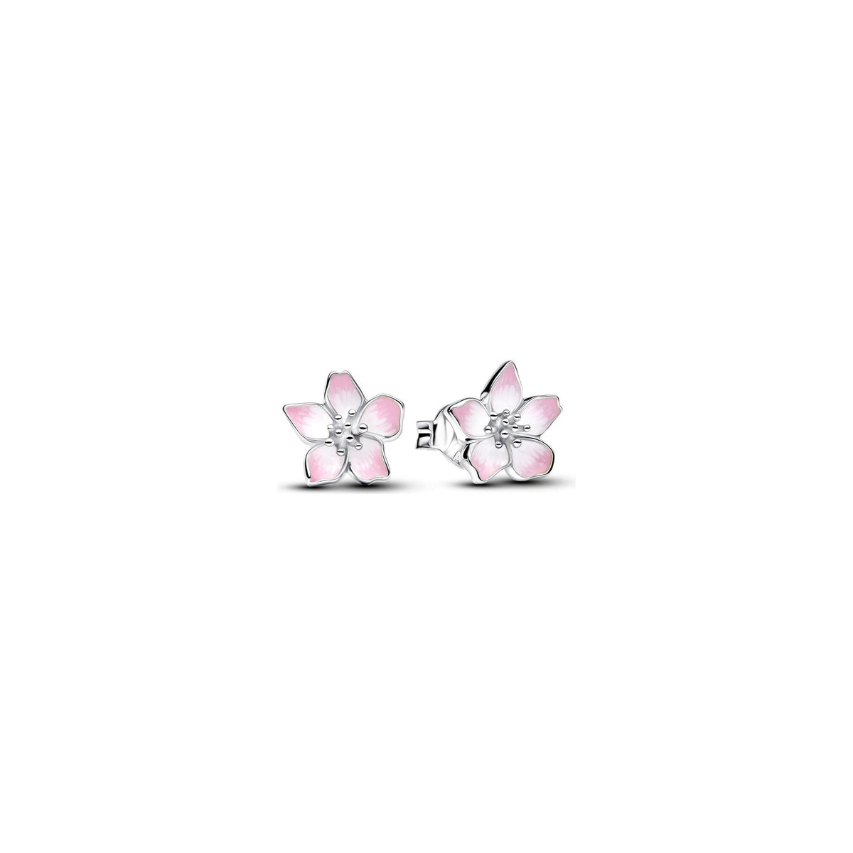 Photo [yvidya_reference:294370C01]